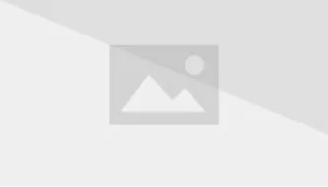 Подвеска в машину Тигр в интернет-магазине Ярмарка Мастеров по цене 6029 ₽  – PR48CBY | Автомобильные сувениры, Зеленоград - доставка по России