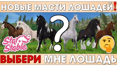 Какие бывают масти лошадей? | My horse story | Дзен