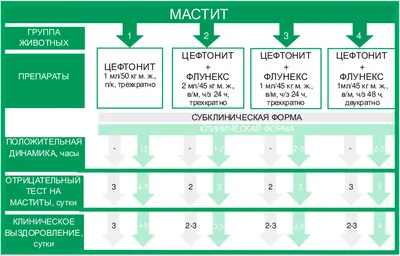 Комплексная терапия маститов коров и ММА-синдрома свиней, статьи NITA-FARM