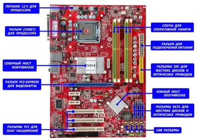 Материнская плата подробно