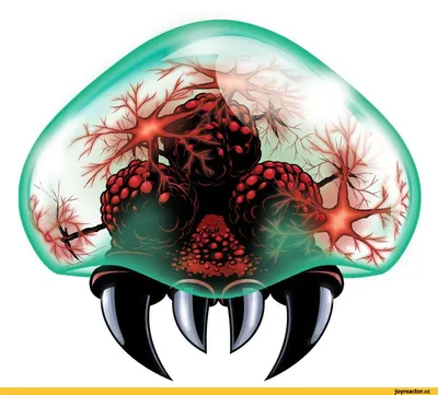Медуза ируканджи — группа тихоокеанских медуз необычайной ядовитости. А  также необычайной красоты. Медуза сделана на з… | Bead work, Handmade  jewelry, Beaded crafts