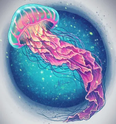 Медуза рисунок - 74 фото