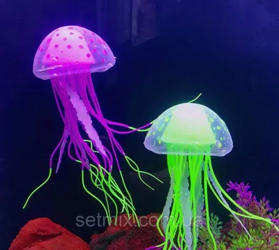 Купить Медуза светящаяся в темноте ( Фиолетовый ), цена 165 грн — Prom.ua  (ID#1312747681)