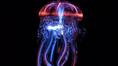 Медуза апокалипсис - 57 фото