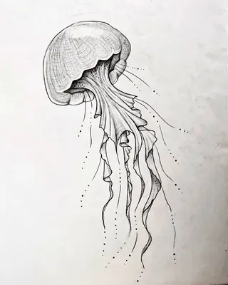 Медуза для срисовки - 75 фото