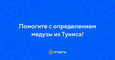 На каких курортах России встречаются опасные медузы