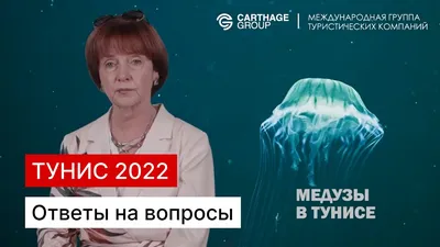 Тунис, медузы.... когда их нет и что делать при ожоге медузой?