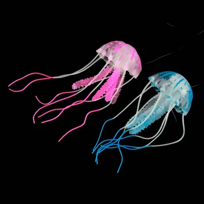 Почему медузы светятся в темноте и как это помогает людям | Научно  популярный журнал SciencePop