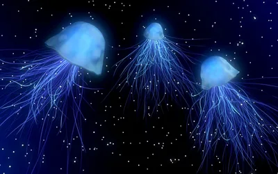 Картинка 3d медузы » 3d картинки » Картинки 24 - скачать картинки бесплатно