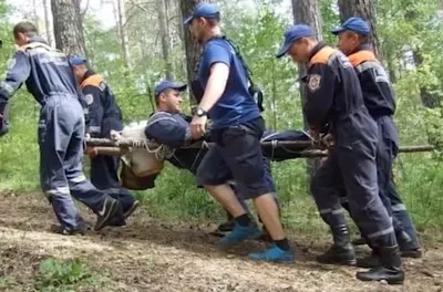 В Кировской области медведь задрал человека: в лесу найдены останки