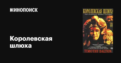 Медведь кричит шлюха: истории из жизни, советы, новости, юмор и картинки —  Лучшее, страница 22 | Пикабу