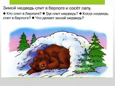 Медведь спит в берлоге (Много фото!) - treepics.ru