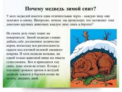 Маленький лесной гном катается зимой на санках по снегу с горы, под которой  в своей берлоге спит медведь Stock Vector | Adobe Stock