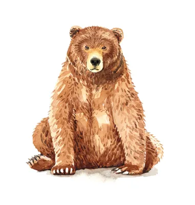 Сидящий медведь рисунок - 59 фото