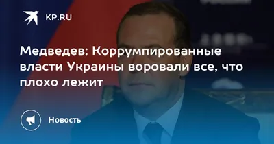 В саратовском парке медведь спит зимой под одеялами — Регион 64