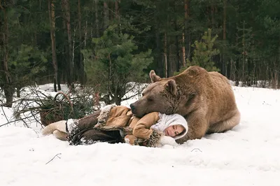 Заготовка под значок Белый медведь спит zag-zn-bear-32 купить в  интернет-магазине krapivasu