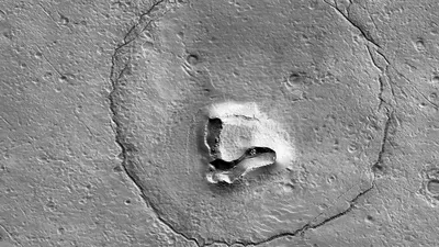 NASA увидели на поверхности Марса огромную морду медведя. Но это просто  холм и кратеры