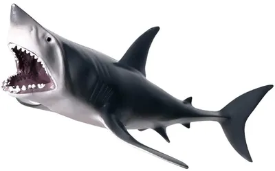 Купить Акула Мегалодон Megalodon Toy Prehistoric Animals Shark Toys, цена  659 грн — Prom.ua (ID#1196324388)