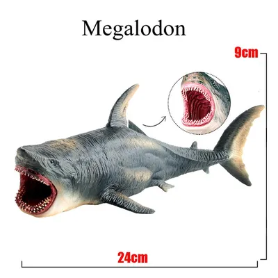 Мегалодон-Доисторическая Акула Океан Образование Животные Фигурка Модель  Дети Подарок купить недорого — выгодные цены, бесплатная доставка, реальные  отзывы с фото — Joom