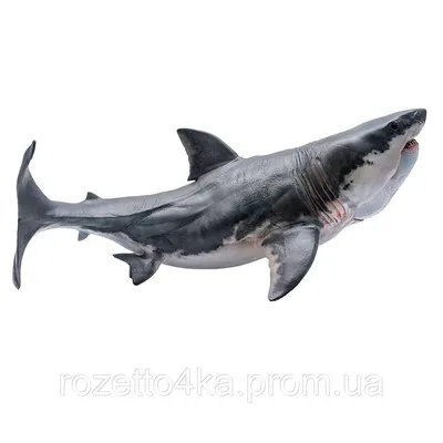 Купить Фигурка мегалодона PNSO Megalodon акула доисторическая, цена 1431  грн — Prom.ua (ID#1403345970)