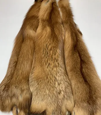 Мех лисы фотографии