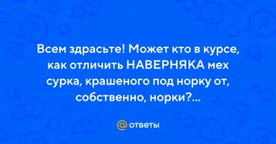 Какой мех лучше других?