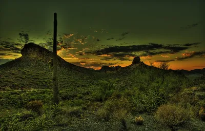Обои закат, горы, пустыня, HDR, кактус, Мексика картинки на рабочий стол,  раздел пейзажи - скачать