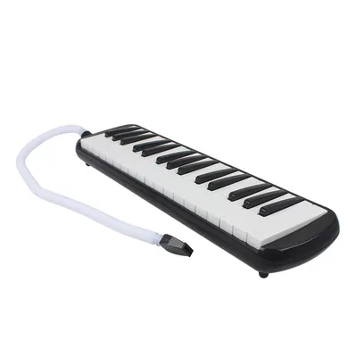 1 Набор 32 клавиши в стиле пианино мелодика с коробкой органный аккордеон  рот выдувной ключ доска мелодика музыкальный инструмент - купить по  выгодной цене | AliExpress