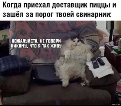 https://shutok.ru/kartinki/197303-kartinki-s-nadpisjami-i-memy-50-shtuk.html