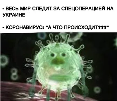 А что происходит?»: мемы краснодарцев про забытый коронавирус взрывают  соцсети