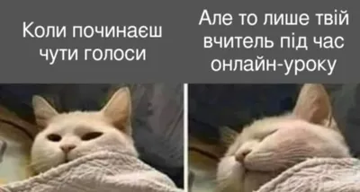 Украинские мемы 2022 - лучшие шутки в картинках в образовании - 24 канал -  Учеба