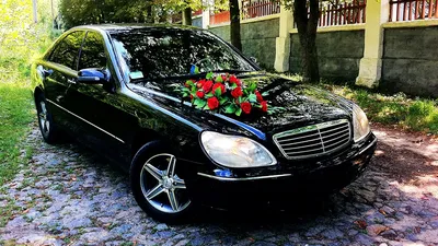 Mercedes-Benz S-Class (W220) 5.0 бензиновый 2000 | Дельфин на DRIVE2