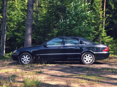 Mercedes-Benz S-Class (W220) 5.0 бензиновый 2003 | Лиса ( продаю ) на DRIVE2