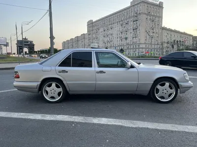 Волк в овечьей шкуре - ЯПлакалъ