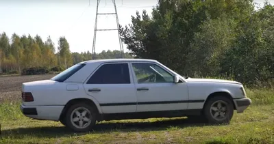 Волк не дает покоя! — Mercedes-Benz E-class (W124), 5 л, 1992 года |  фотография | DRIVE2