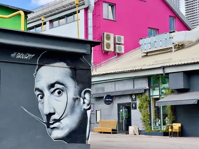 Как Екатеринбург стал столицей стрит-арта в России? 88 главных работ  фестиваля уличного искусства Stenograffia
