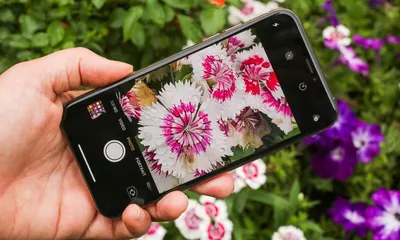 Как и зачем нужно удалять метаданные фотографий, снятых на iPhone |  AppleInsider.ru
