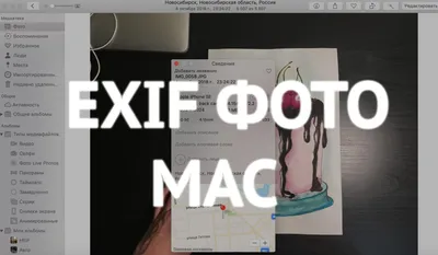Как просматривать метаданные в Фото на Mac - IT-HERE.RU