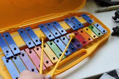 Игрушки Paxphil Металлофон Glockenspiel 25K - «Чудесный инструмент и детям  и взрослым. ВИДЕО» | отзывы