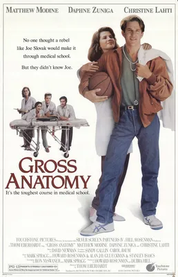 Общая анатомия (1989) — IMDb