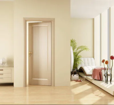 Межкомнатные двери в интерьере квартиры: дизайн современных и раздвижных  проемов, фото