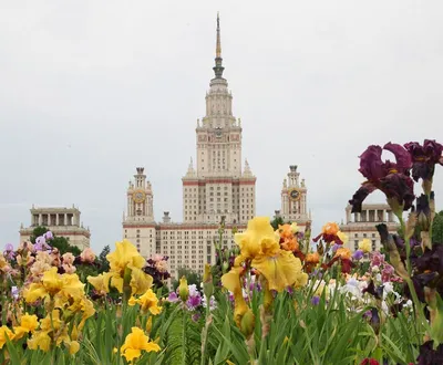 Московский государственный университет имени М. В. Ломоносова » ImagesBase  - Обои для рабочего стола