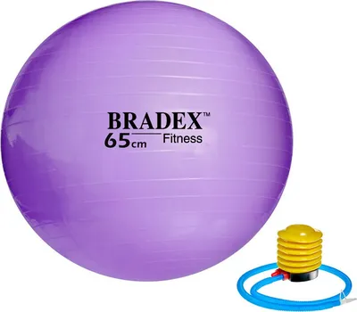 Гимнастический мяч для фитнеса Solmax Фитбол для тренировок фиолетовый 65  см купить по цене 1189 ₽ в интернет-магазине Детский мир