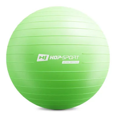 Фитбол (мяч для фитнеса) 65 см Hop-sport HS-R065YB: купить по доступным  ценам на Way4You