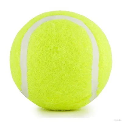 Мяч для большого тенниса \"TX1\" SabriaSport : купить в интернет-магазине —  OZ.by