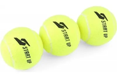 Купить мяч теннисный gamma quick kids 60 orange (12 шт.) по цене 3 414 ₽ в  Москве