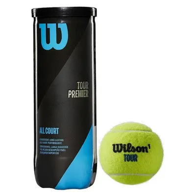 Мяч для тенниса Swidon S-909 для начинающих игроков (1 шт. в пакете с  держателем) купить по цене 119 ₽ в интернет-магазине СпортСЕ с доставкой по  России 🚚 фото, характеристики, отзывы