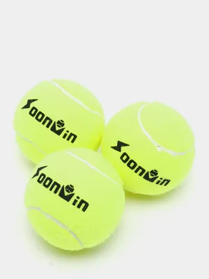 Мячи для большого тенниса Dunlop ATP Championship (4шт)