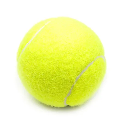 Мяч для большого тенниса Fitroots, для стирки, для игры с животными, для  массажа МФР - купить с доставкой по выгодным ценам в интернет-магазине OZON  (567430965)