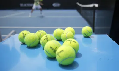 Теннис Мяч Виды Спорта Теннисный - Бесплатное фото на Pixabay - Pixabay